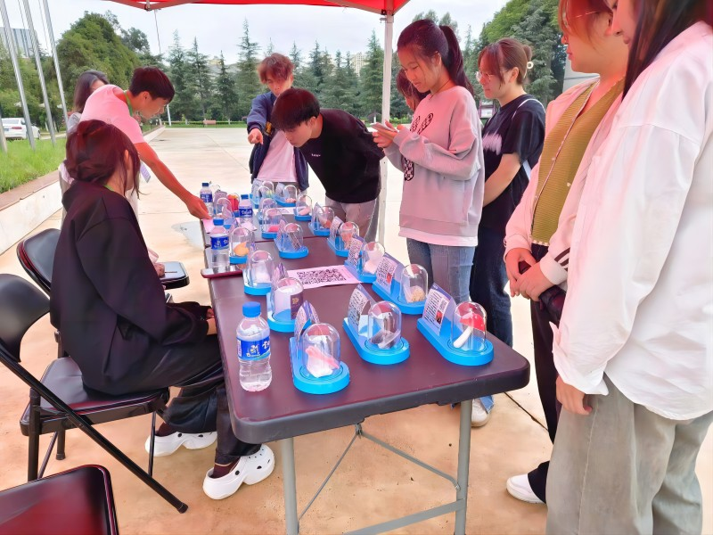 模型展览 模型展览