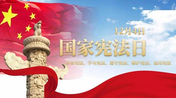 mmexport1669989124586_compress mmexport1669989124586_compress