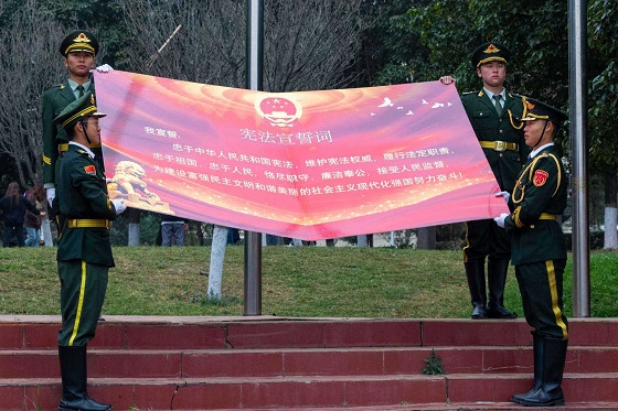 mmexport1669989115343_compress mmexport1669989115343_compress