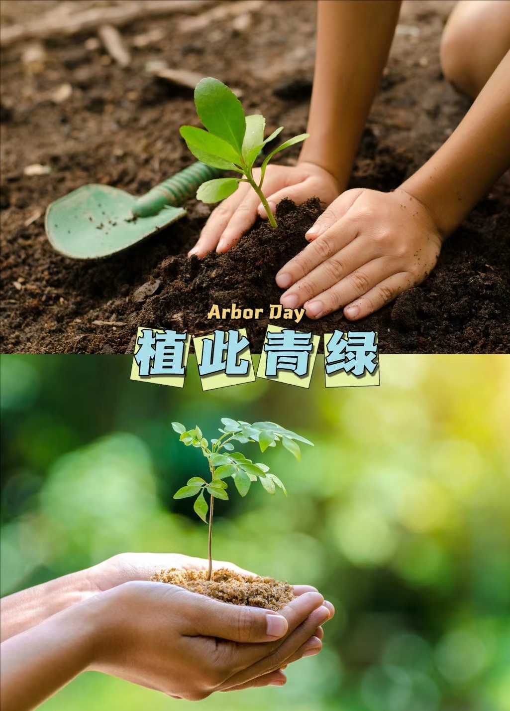 1678597920605_compress 1678597920605_compress