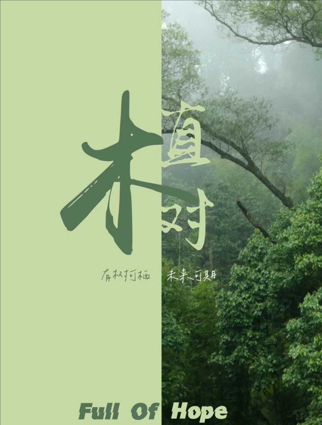 1678597924650_compress 1678597924650_compress