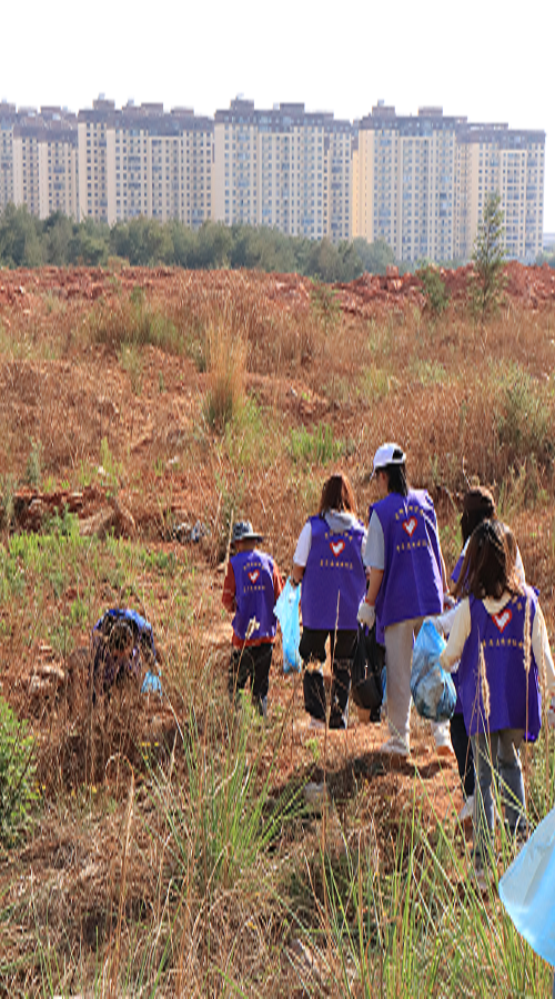 195551663110647951 195551663110647951