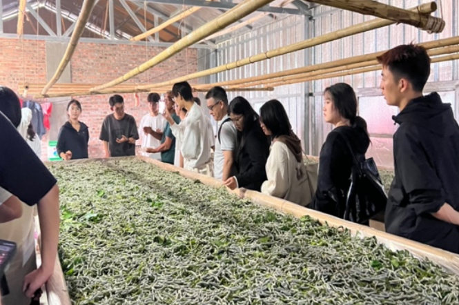 微信图片_20240810204121 微信图片_20240810204121