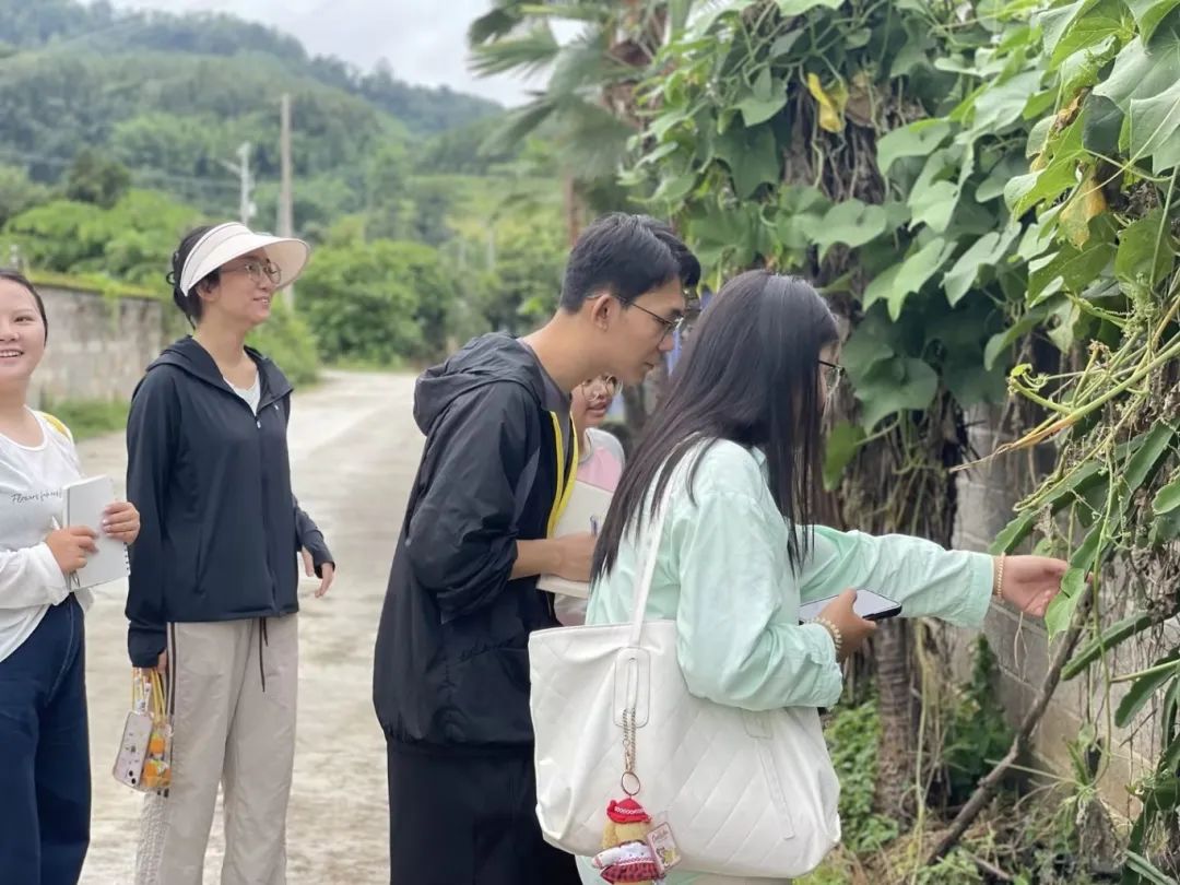 微信图片_20240810204637 微信图片_20240810204637