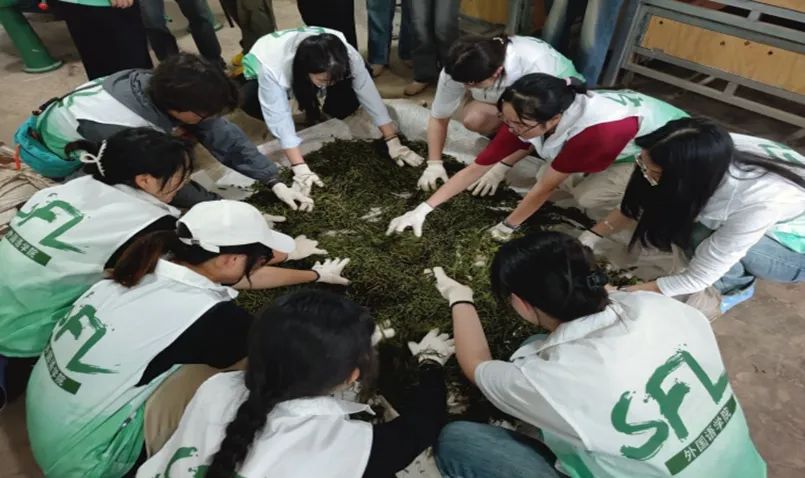 微信图片_20240817150535 微信图片_20240817150535