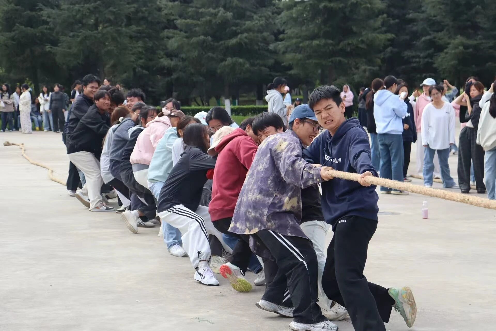 微信图片_2025-12-01_221110_867 微信图片_2025-12-01_221110_867