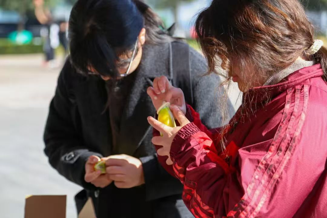 微信图片_20251204173743_70_13 微信图片_20251204173743_70_13