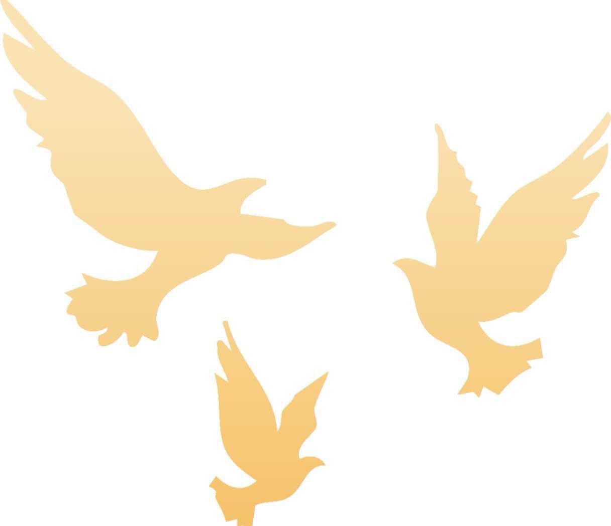 微信图片_20251212193339_83_145 微信图片_20251212193339_83_145