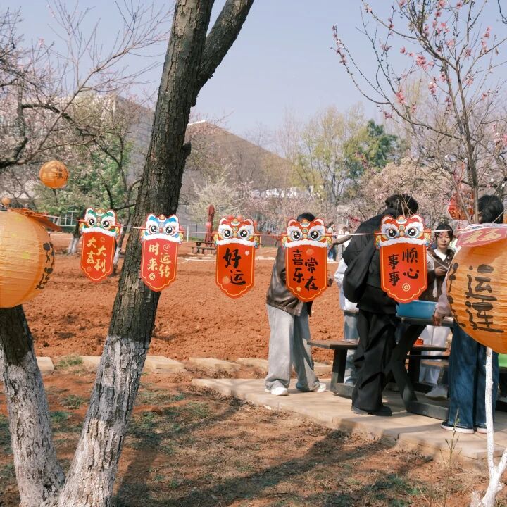 微信图片_2026-03-15_141225_985 微信图片_2026-03-15_141225_985