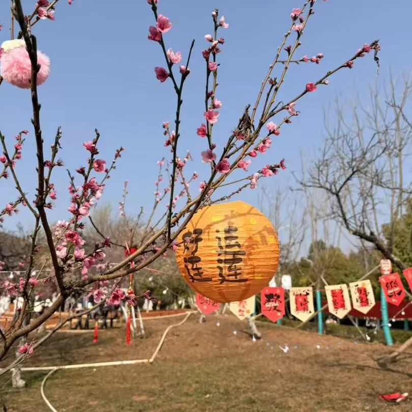 微信图片_2026-03-15_141236_958 微信图片_2026-03-15_141236_958