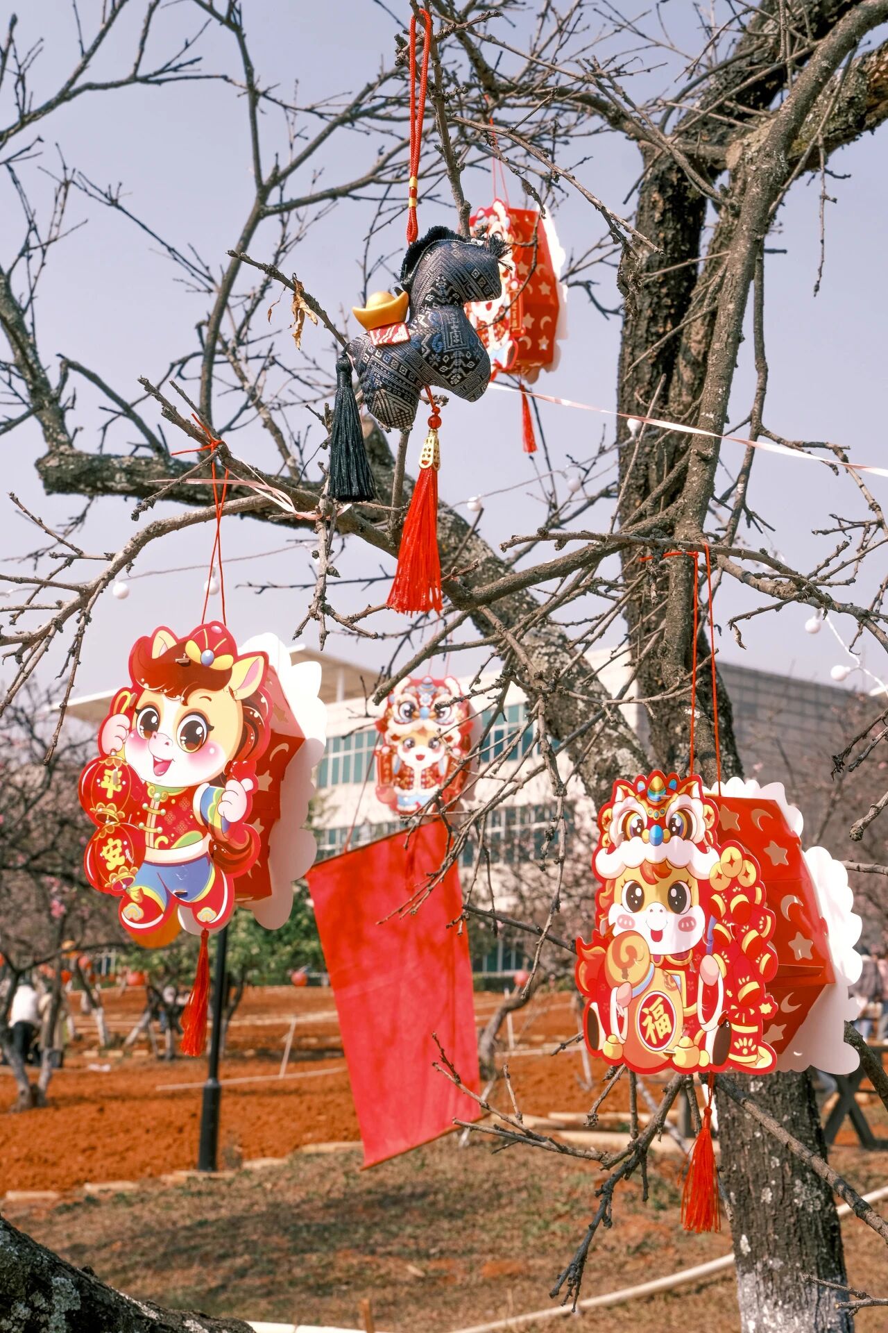 微信图片_2026-03-15_141242_448 微信图片_2026-03-15_141242_448