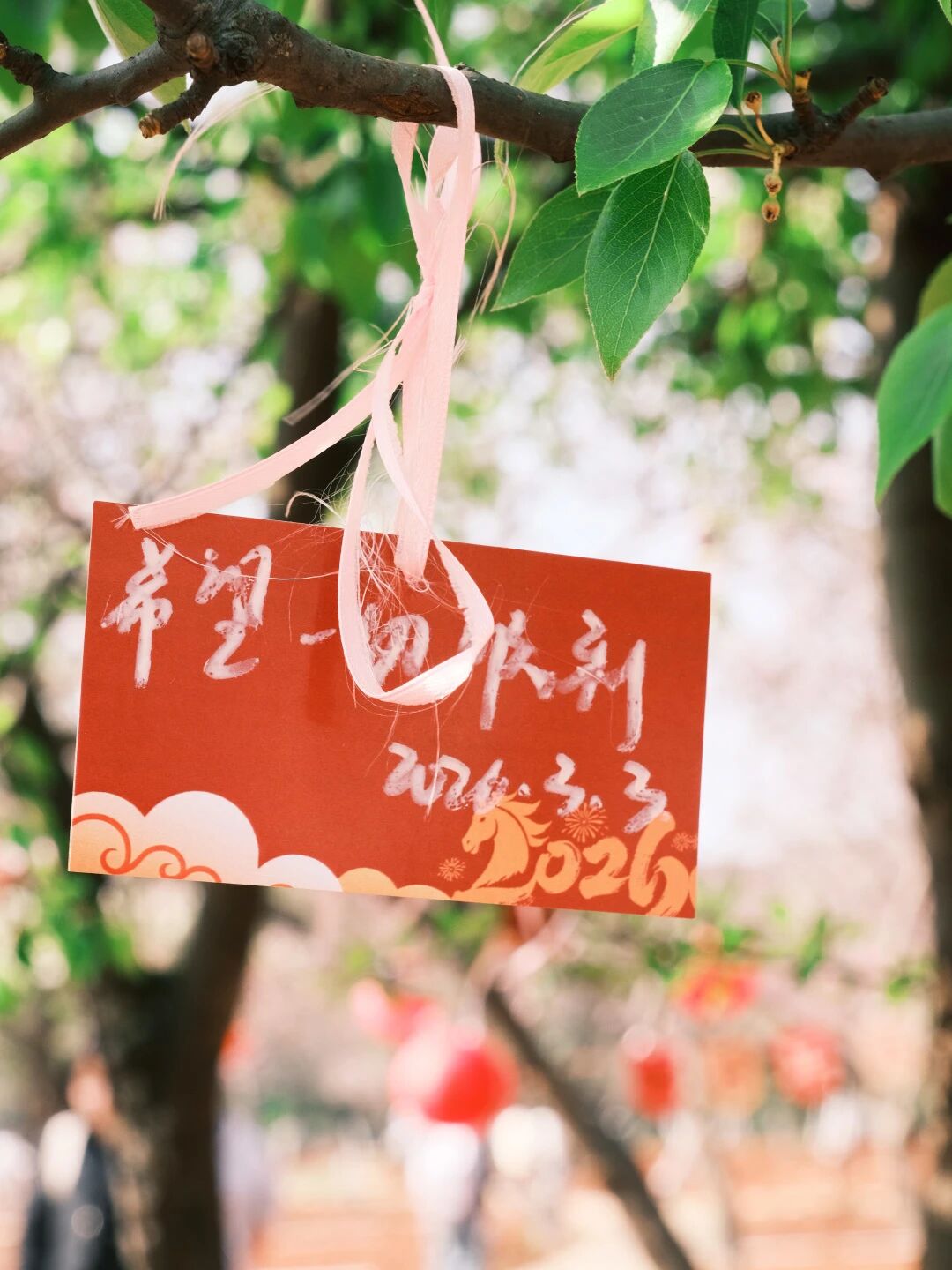 微信图片_2026-03-15_141305_382 微信图片_2026-03-15_141305_382