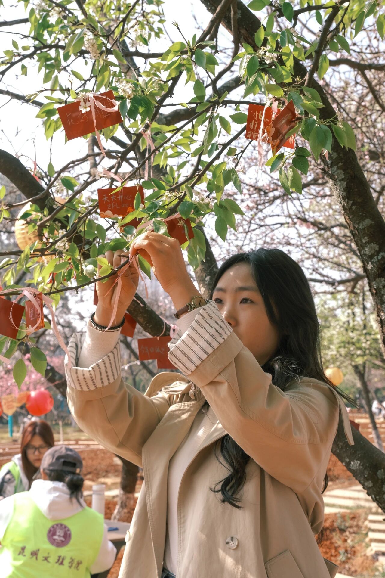 微信图片_2026-03-15_141407_872 微信图片_2026-03-15_141407_872