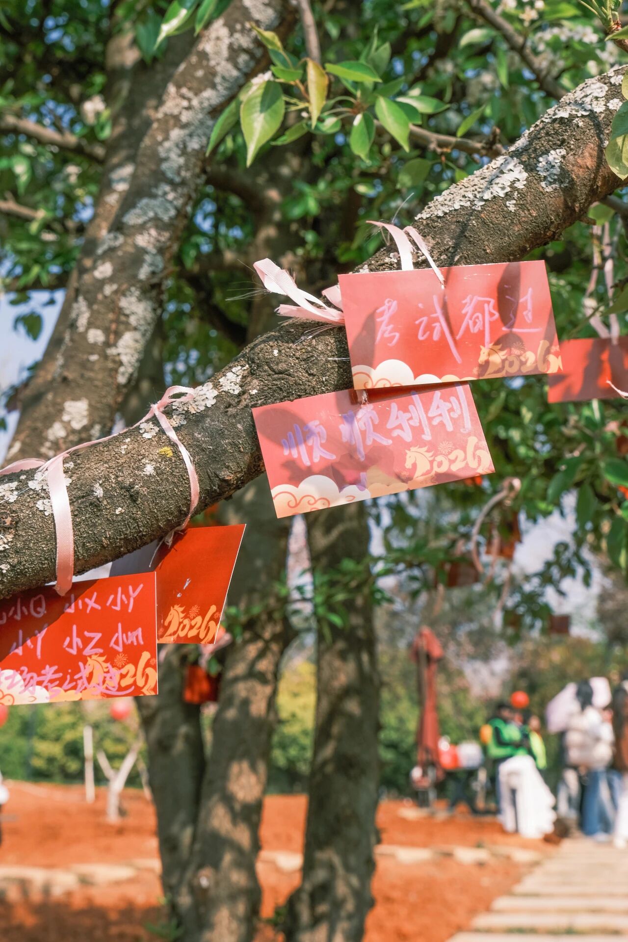 微信图片_2026-03-15_140422_997 微信图片_2026-03-15_140422_997