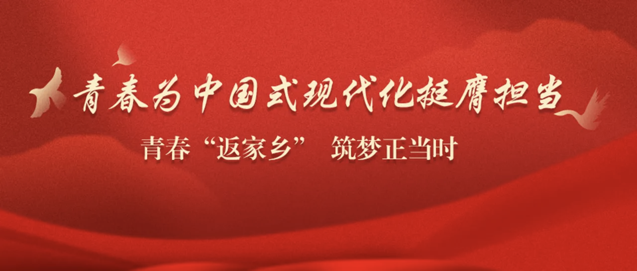 微信图片_20260319105642_100_1